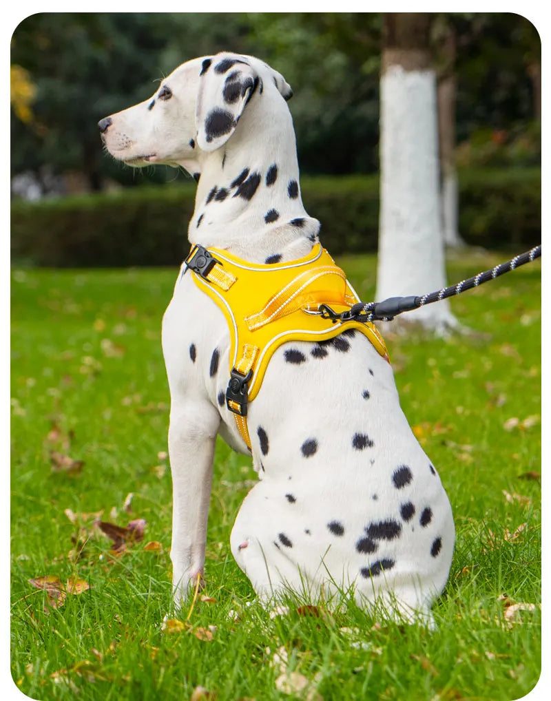 Ultra-Light Dog Harness Vest — Quick-Fit Saddle Design, No-Pull Chest Strap & Escape-Proof