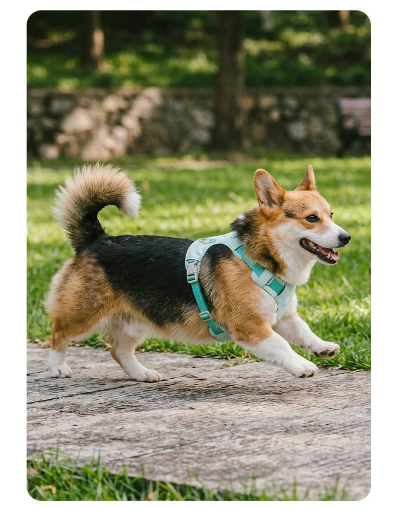 Lightweight Dog Harness & Leash Set Anti-Pull Escape-Proof Pet Walking Lead for Small Medium Large Dogs