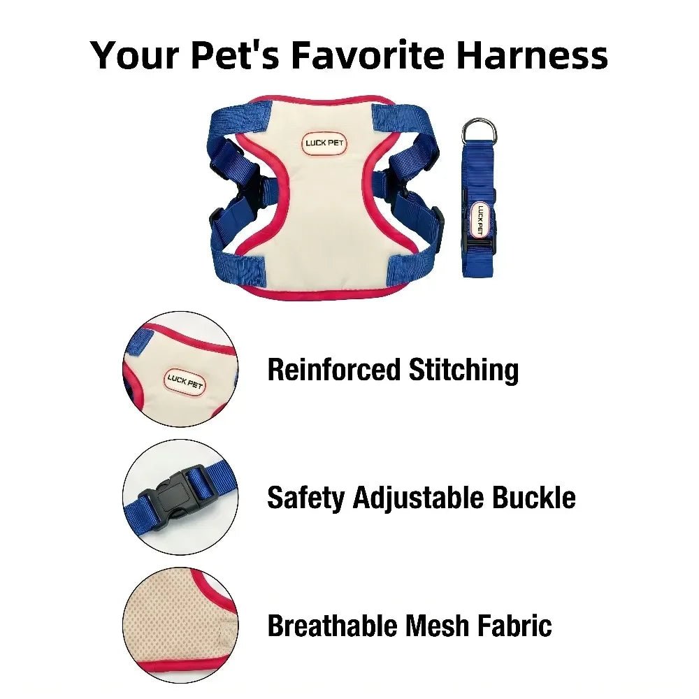 Anti-Escape Harness, Leash & Sun Hat Set for Small Dogs & Cats