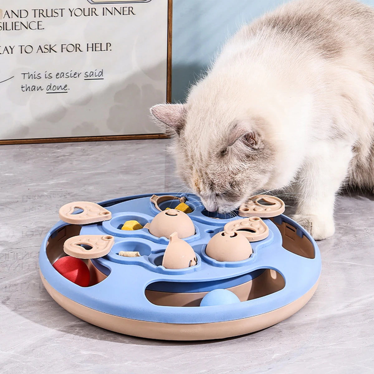 Cat Turntable Puzzle Toy – Rolling Ball Treat Dispenser for Indoor Cats
