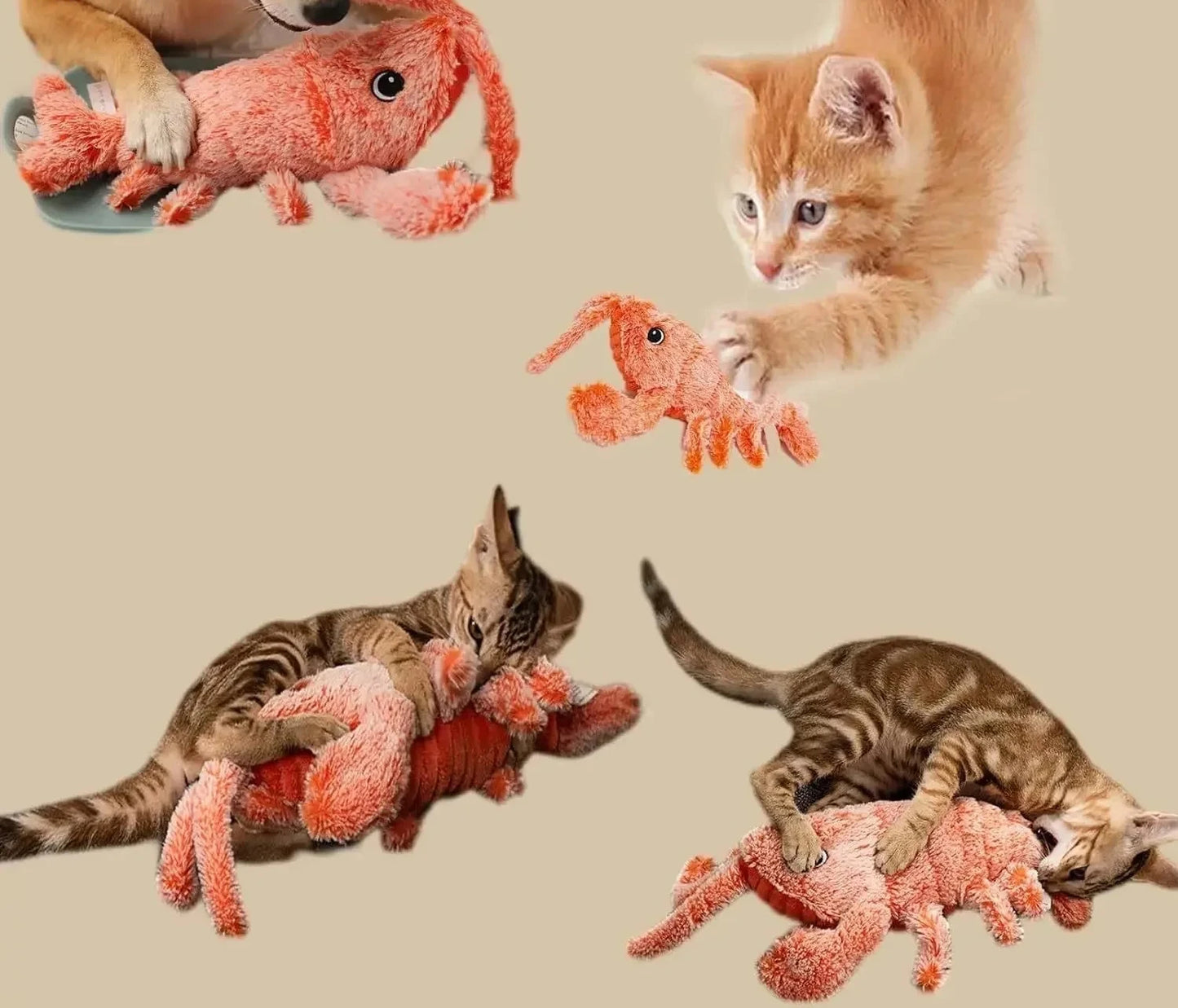 Jouet interactif pour chat homard vibrant avec herbe à chat