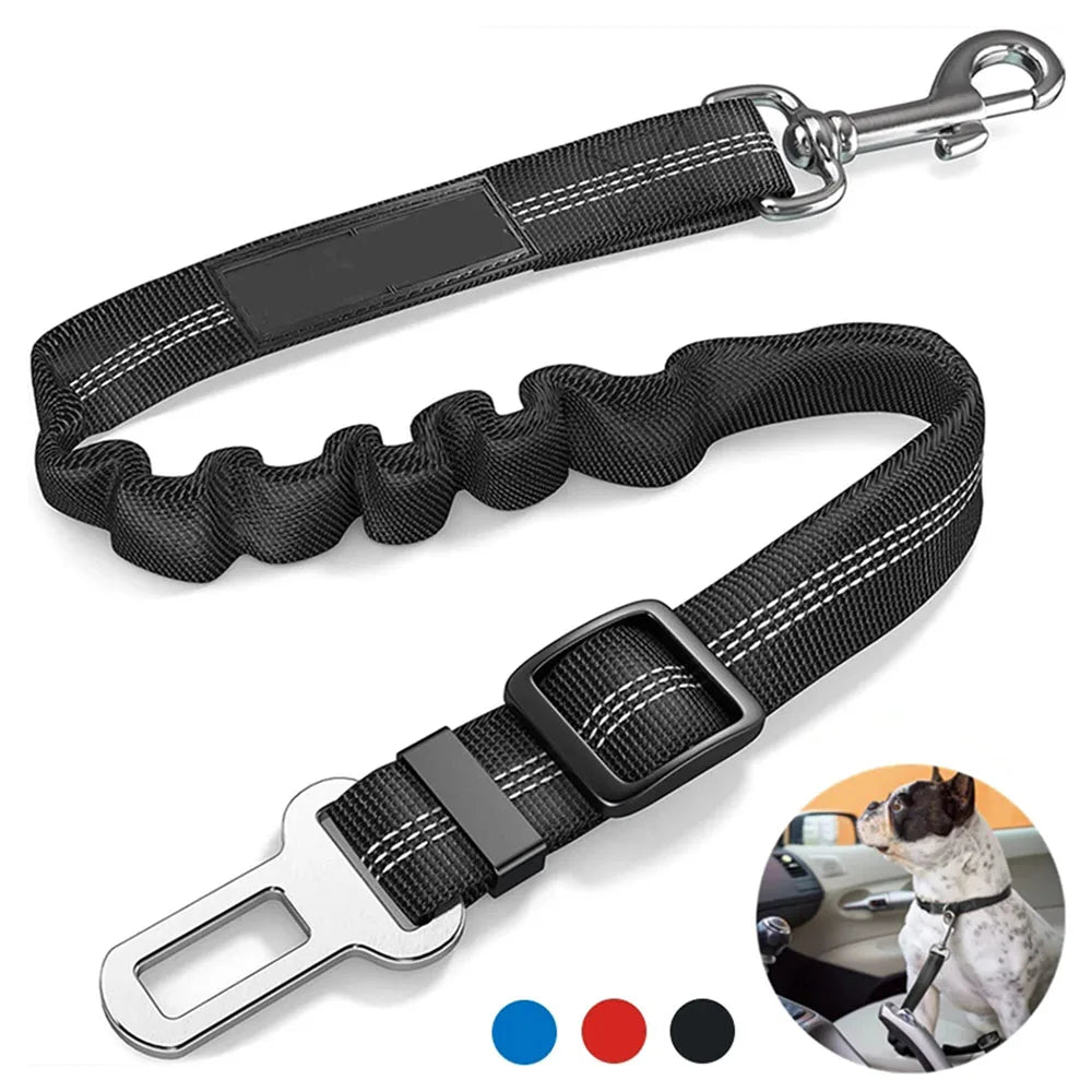 Ceinture de sécurité rétractable pour chien avec bande réfléchissante