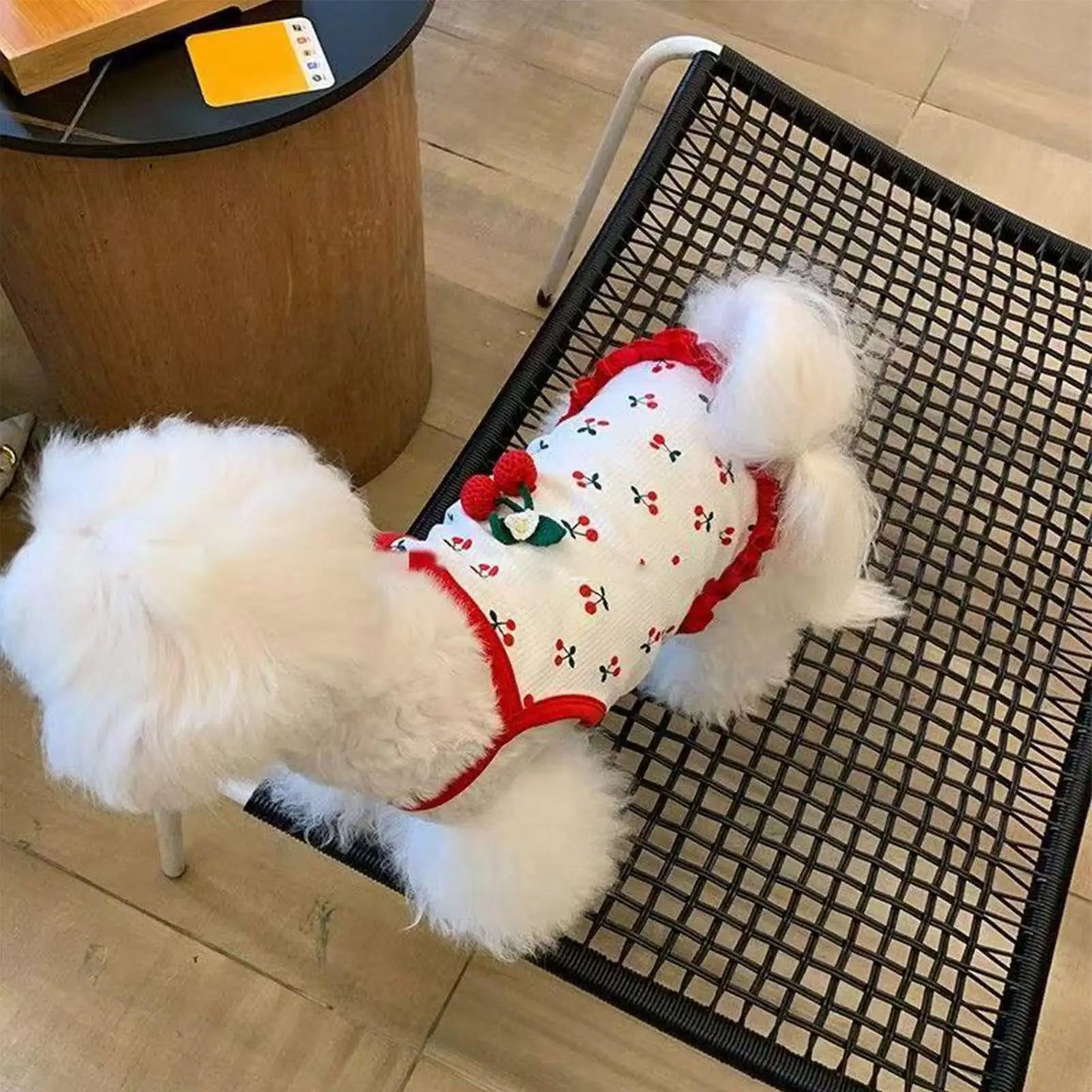 Breathable Summer Vest for Small Dogs & Cats