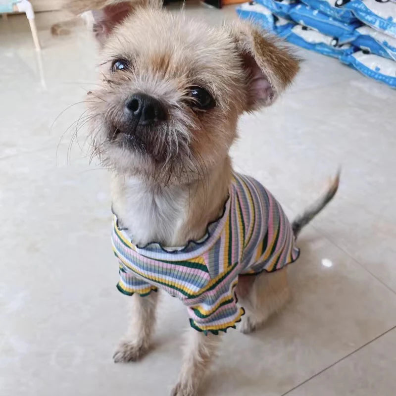 Cotton 100% Cat Dog Vest Summer Pet Clothes Stripe Pullovers for Small Dogs Cats Chihuahua Pomeranian Puppy Ropa Para Perros