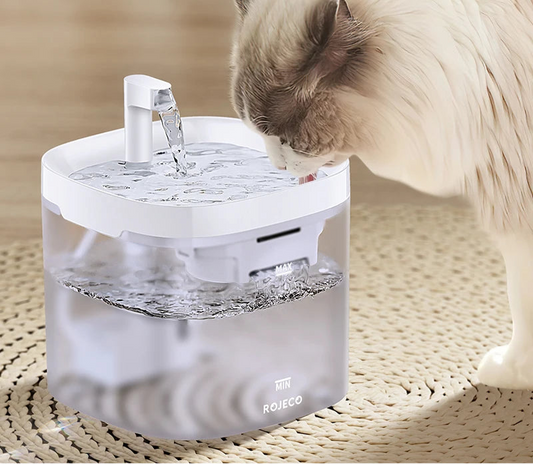 Transparent Smart Cat Water Fountain with Automatic Purifier System