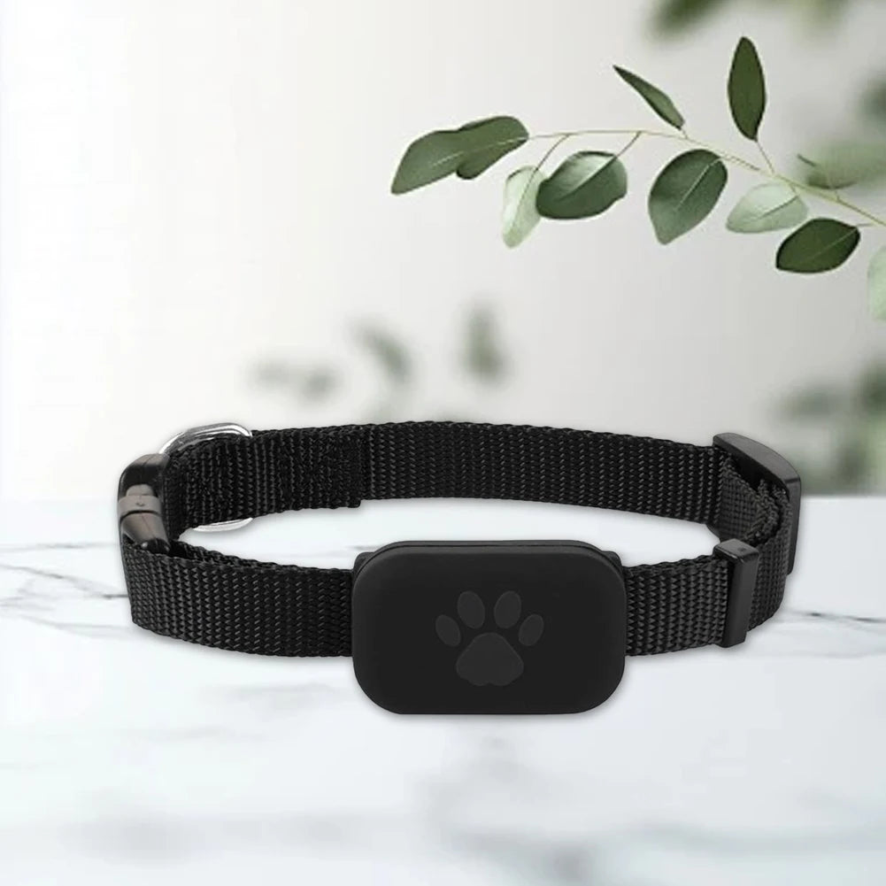 Smart Pet Locator with Silicone Collar for Dogs & Cats — 6-12 Month Battery