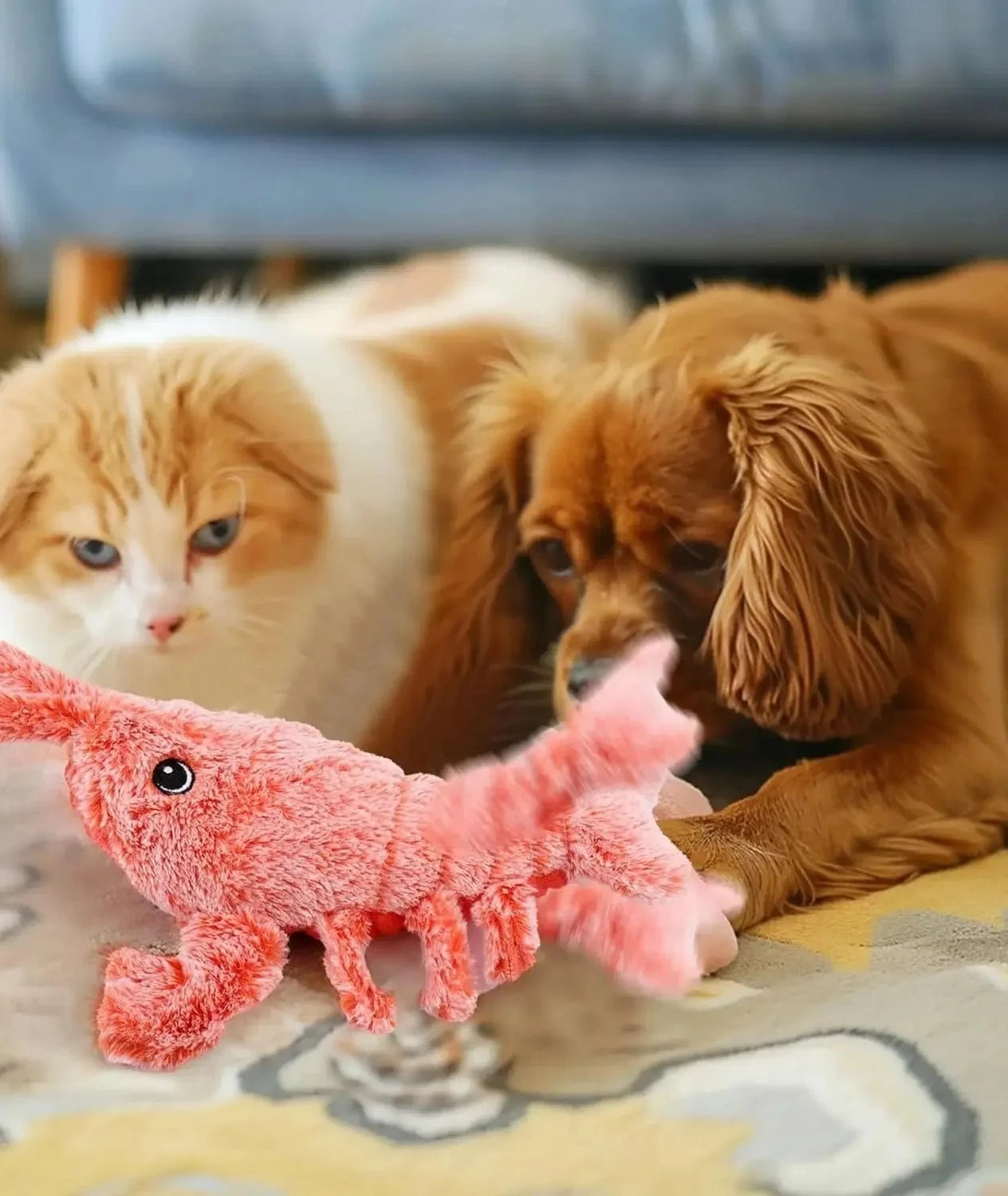 Jouet interactif pour chat en forme de homard doux rechargeable par USB avec couineur
