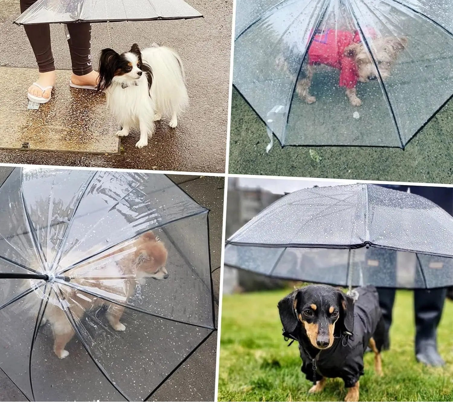 Pet Umbrella with Built-in Leash - Clear Canopy for Small Dogs and Cats