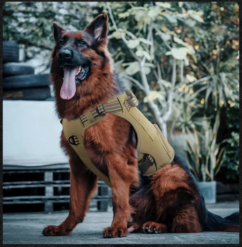 No-Pull Dog Vest Harness with Handle & Reflective Straps