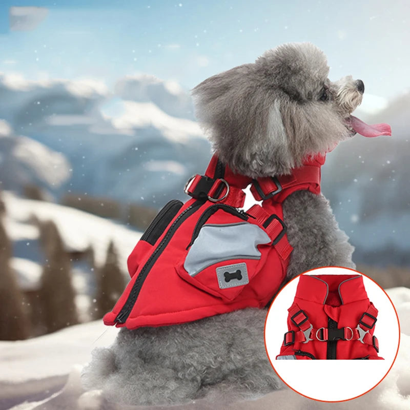 2-in-1 Dog Jacket & Harness with Pocket