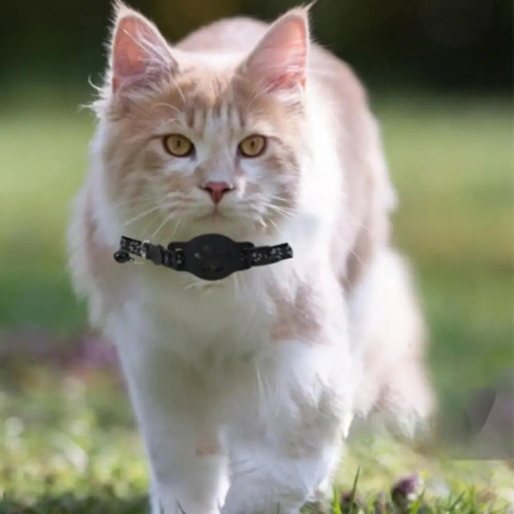 Cat Locator with Adjustable Collar