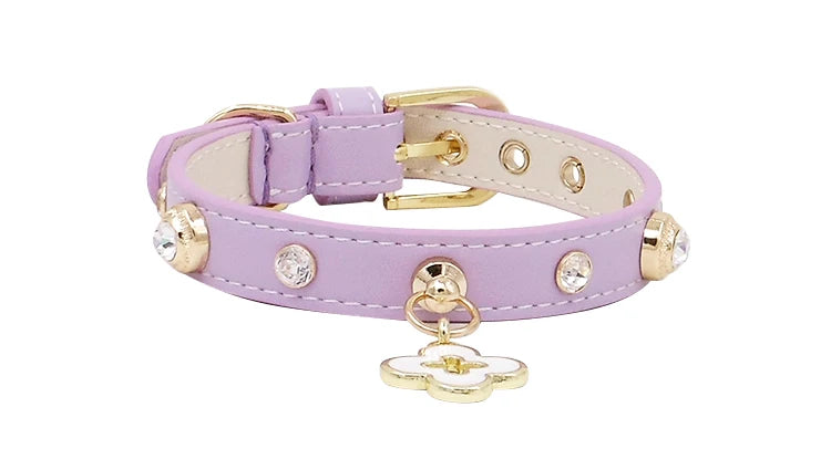 Rhinestone Genuine Leather Dog & Cat Collar