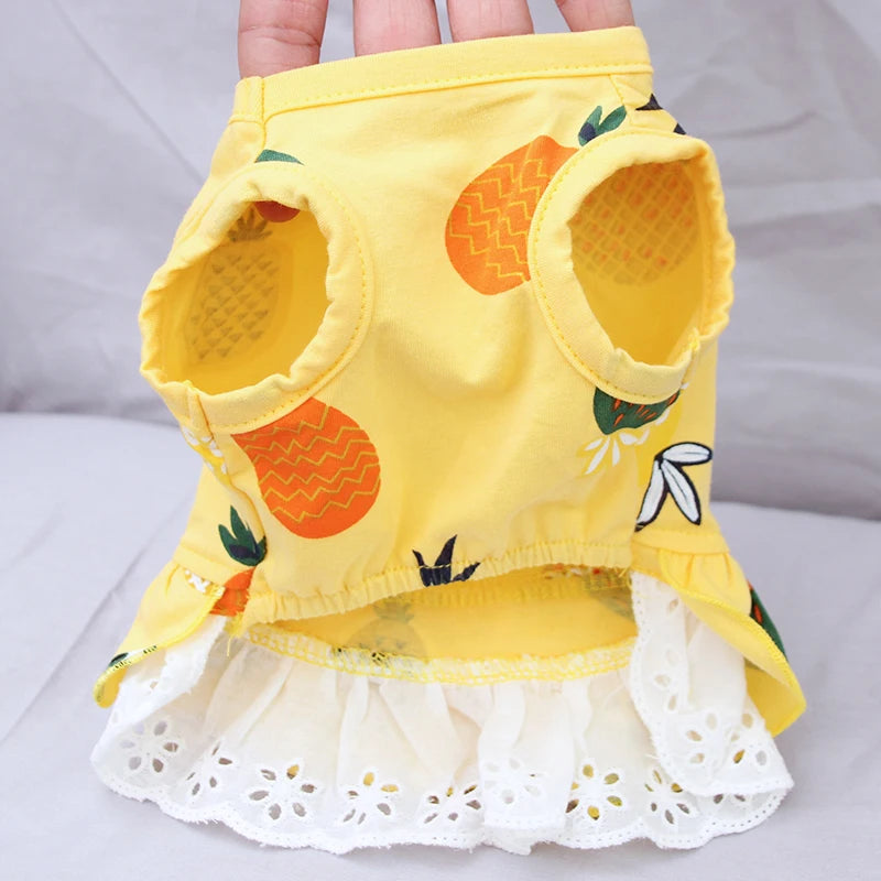 Cotton Print Dress for Cats & Small Dogs