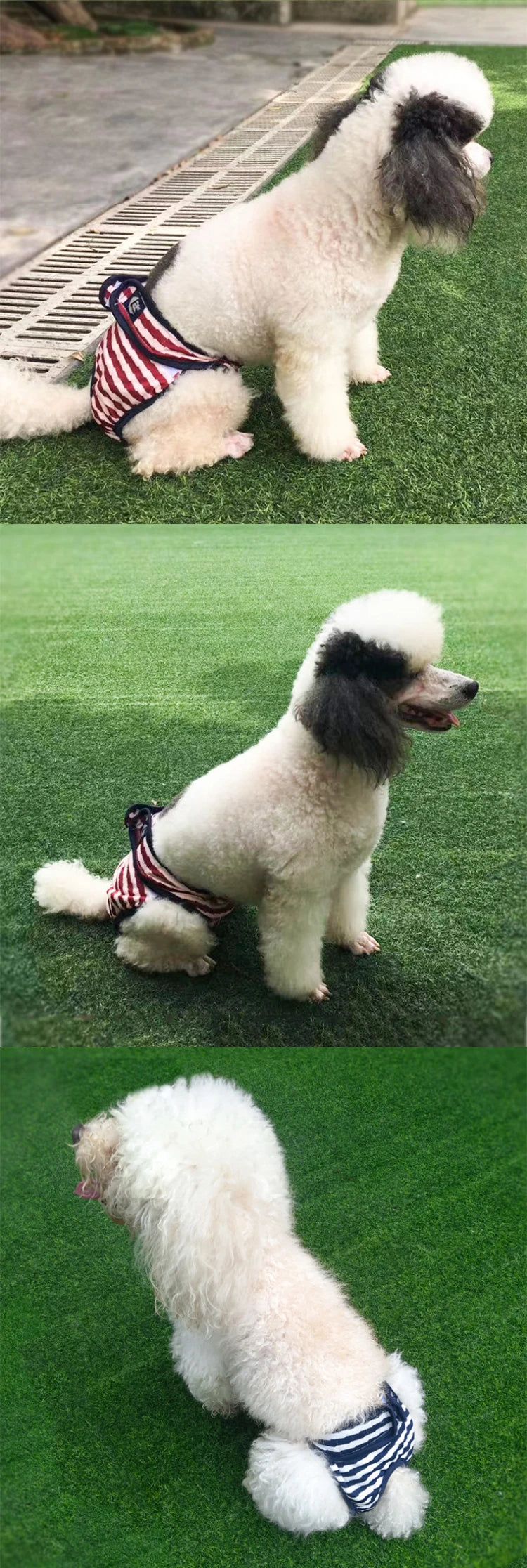 Washable Physiological Pants & Sanitary Briefs for Female Dogs & Cats