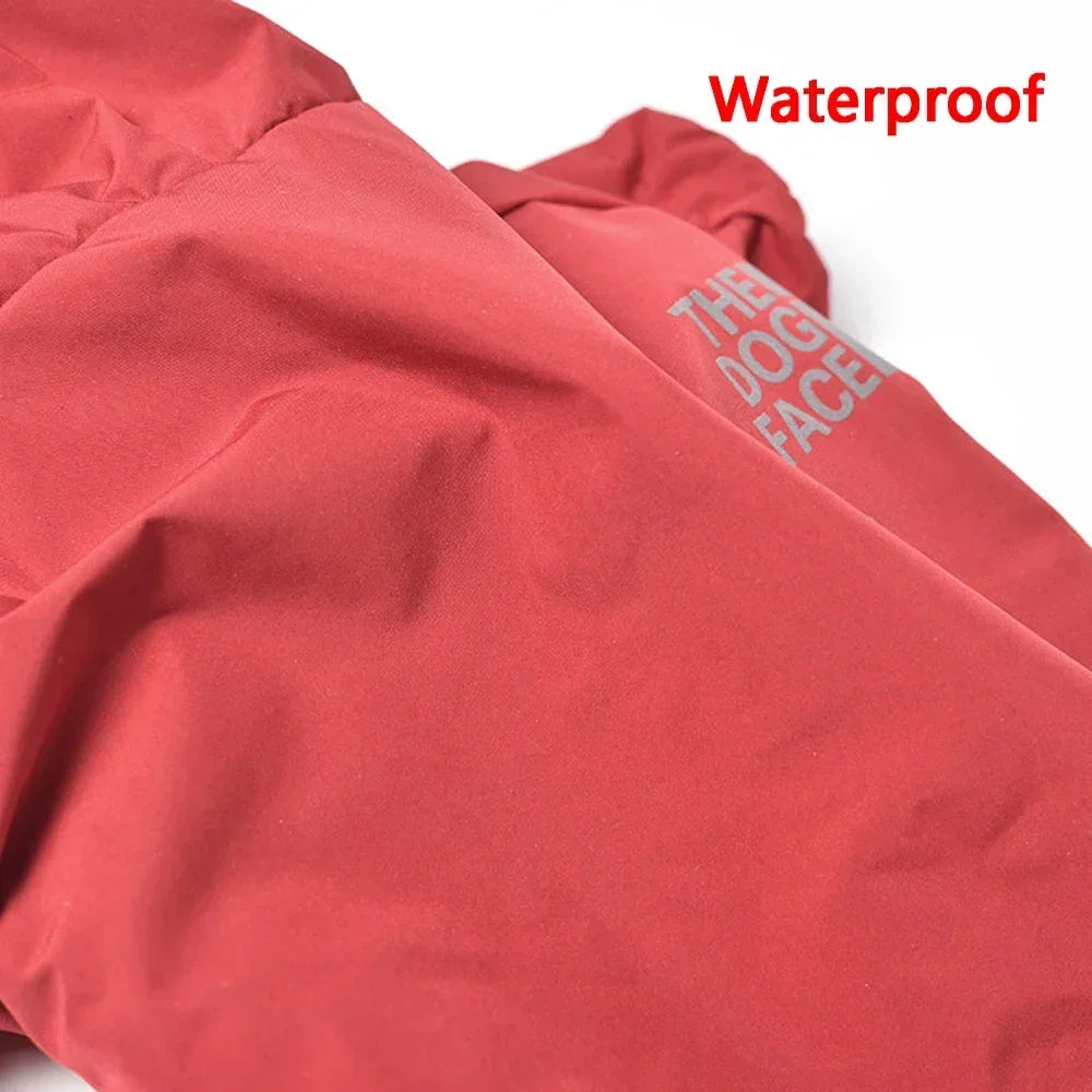 Manteau imperméable à capuche pour chien