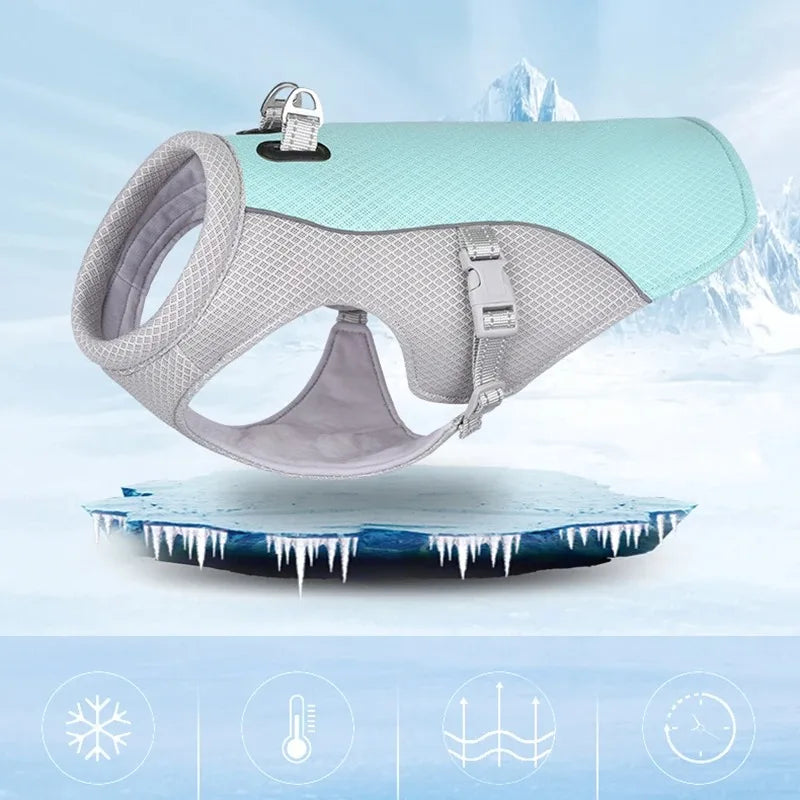 Harnais de poitrine pour chien avec laisse – Système complet de harnais pour animaux de compagnie