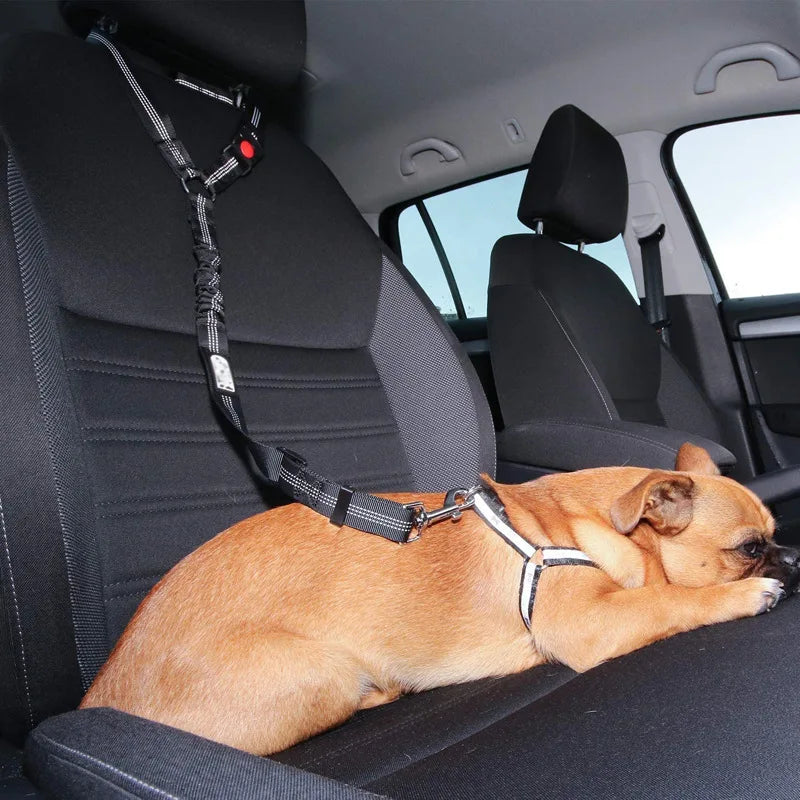Reflective Dog Car Seat Belt and Walking Leash for Small Dogs
