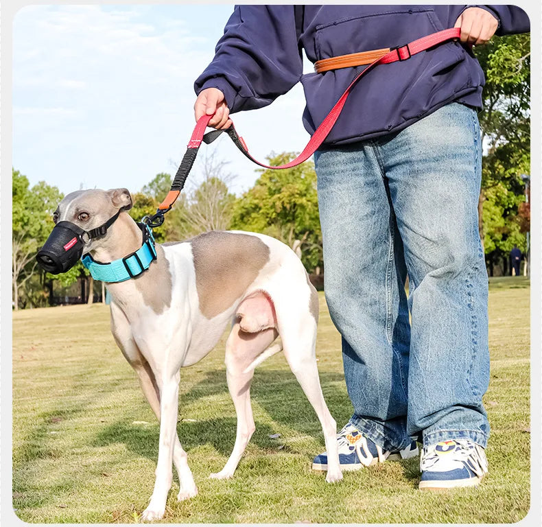 Heavy-Duty Tactical Bungee No-Pull Dog Leash for Large Dogs