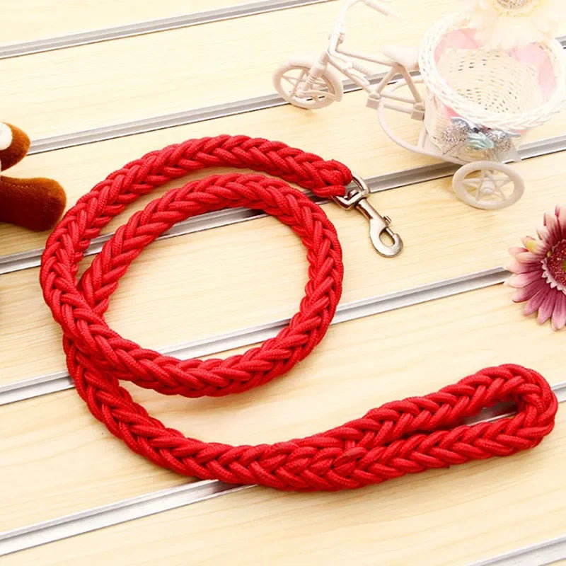 Laisse pour chien en nylon robuste (130 cm)