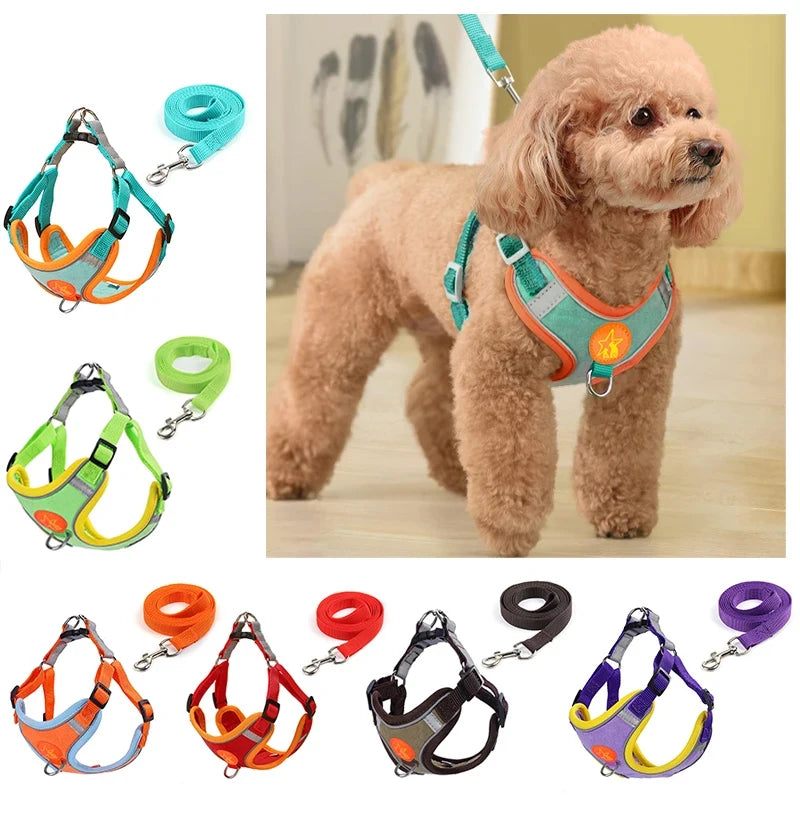 Reflective Soft Mesh Dog Harness with Dual Lead Hooks – No-Pull Vest for Small & Medium Dogs