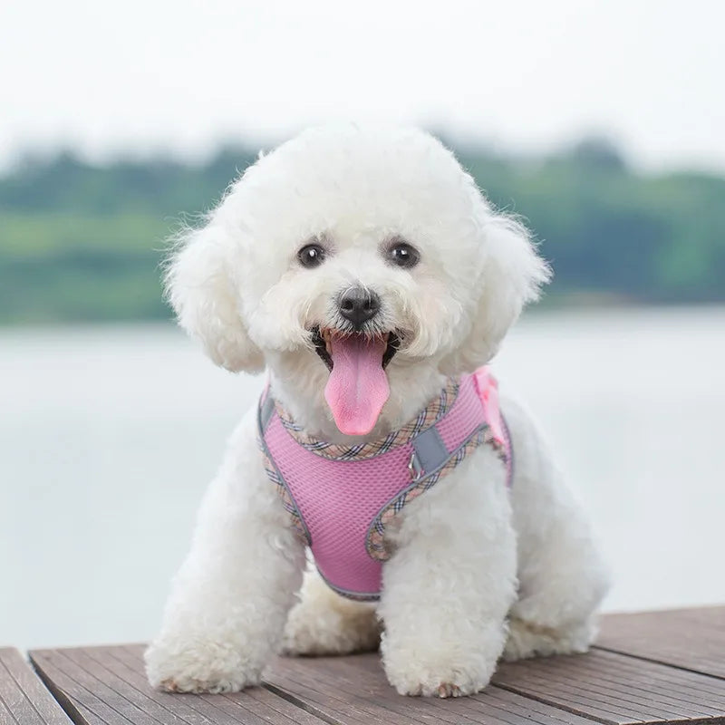 Gilet Tactique pour Chien avec Sangle de Poitrine - Harnais Robuste pour Animaux de Compagnie