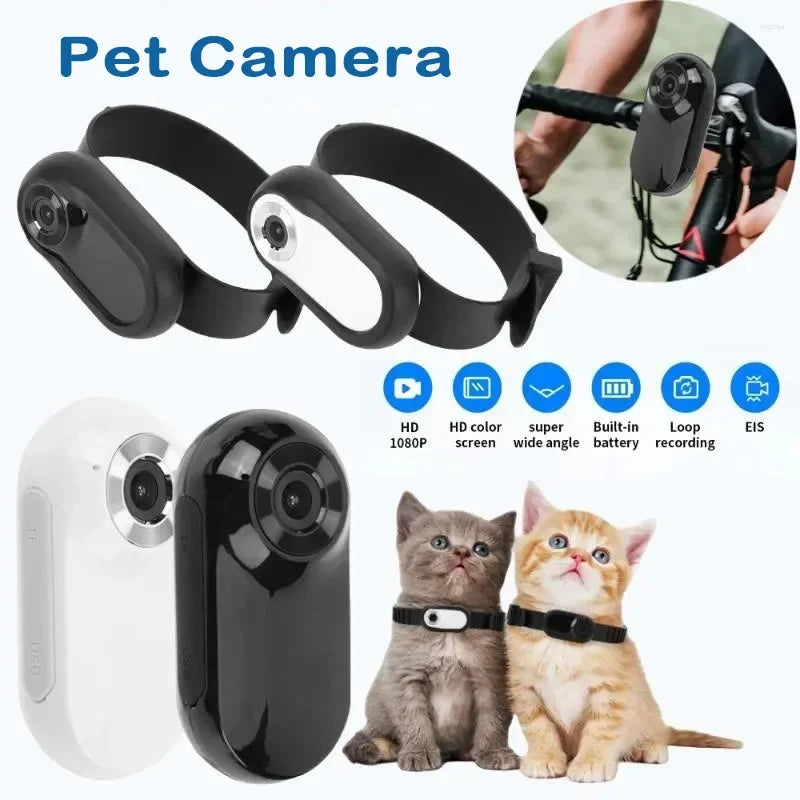HD 1080P Wireless Pet Collar Camera — No WiFi Required