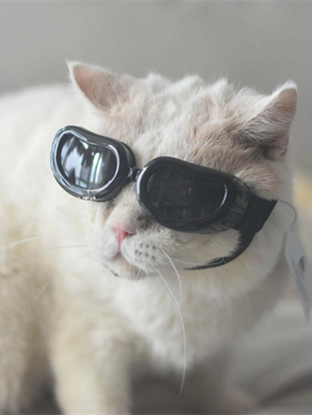 UV & Windproof Sunglasses Goggles for Small Dogs & Cats