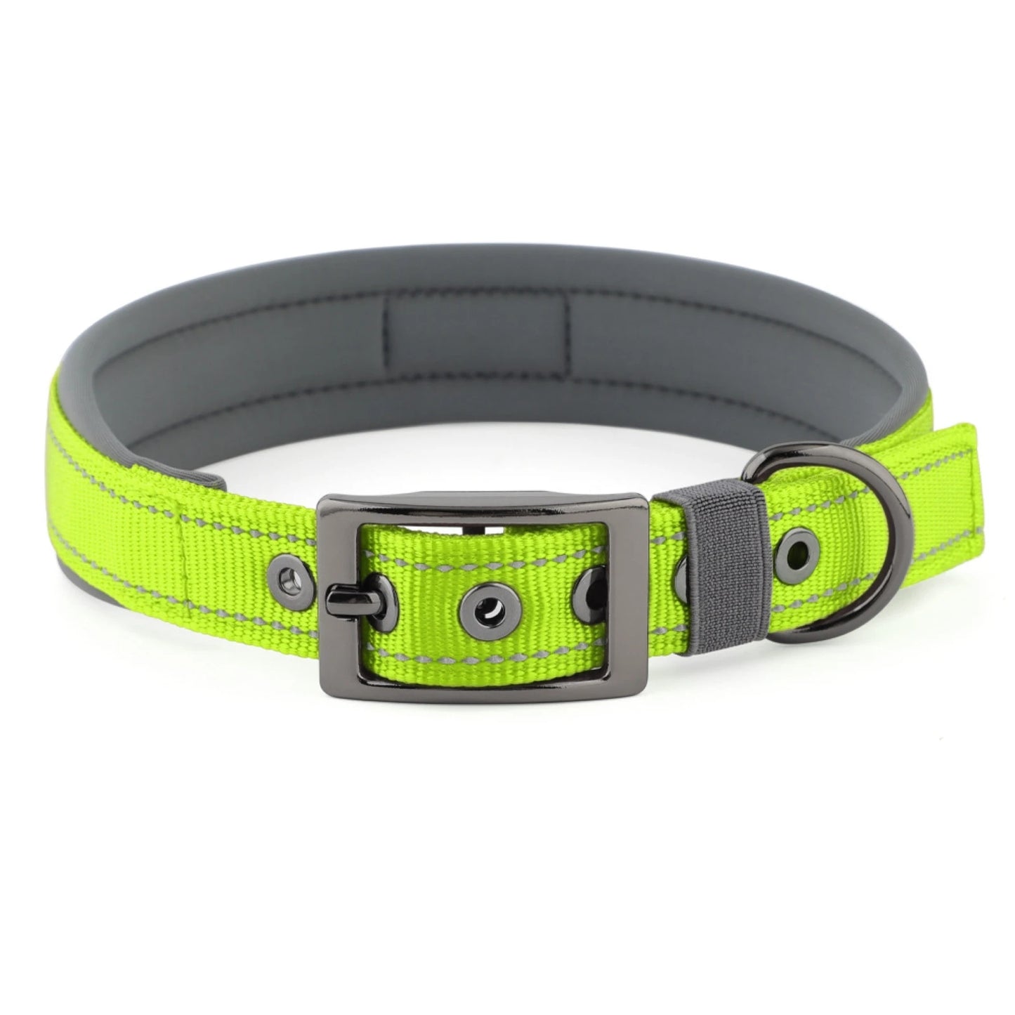 Neoprene Padded Reflective Dog Collar with Metal Buckle