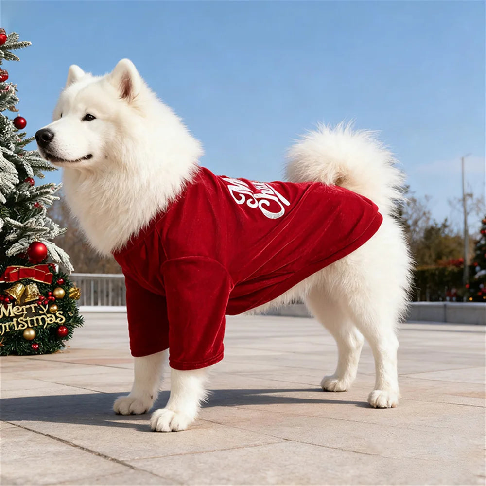 Christmas Dog Sweater