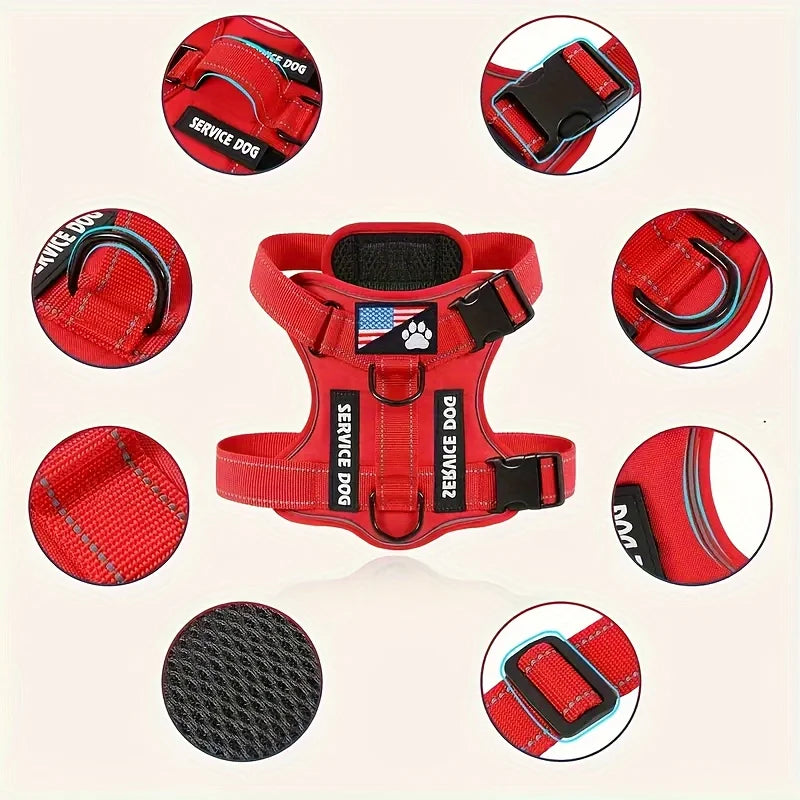 Ensemble harnais et laisse réfléchissants pour chien avec gamelle pliable