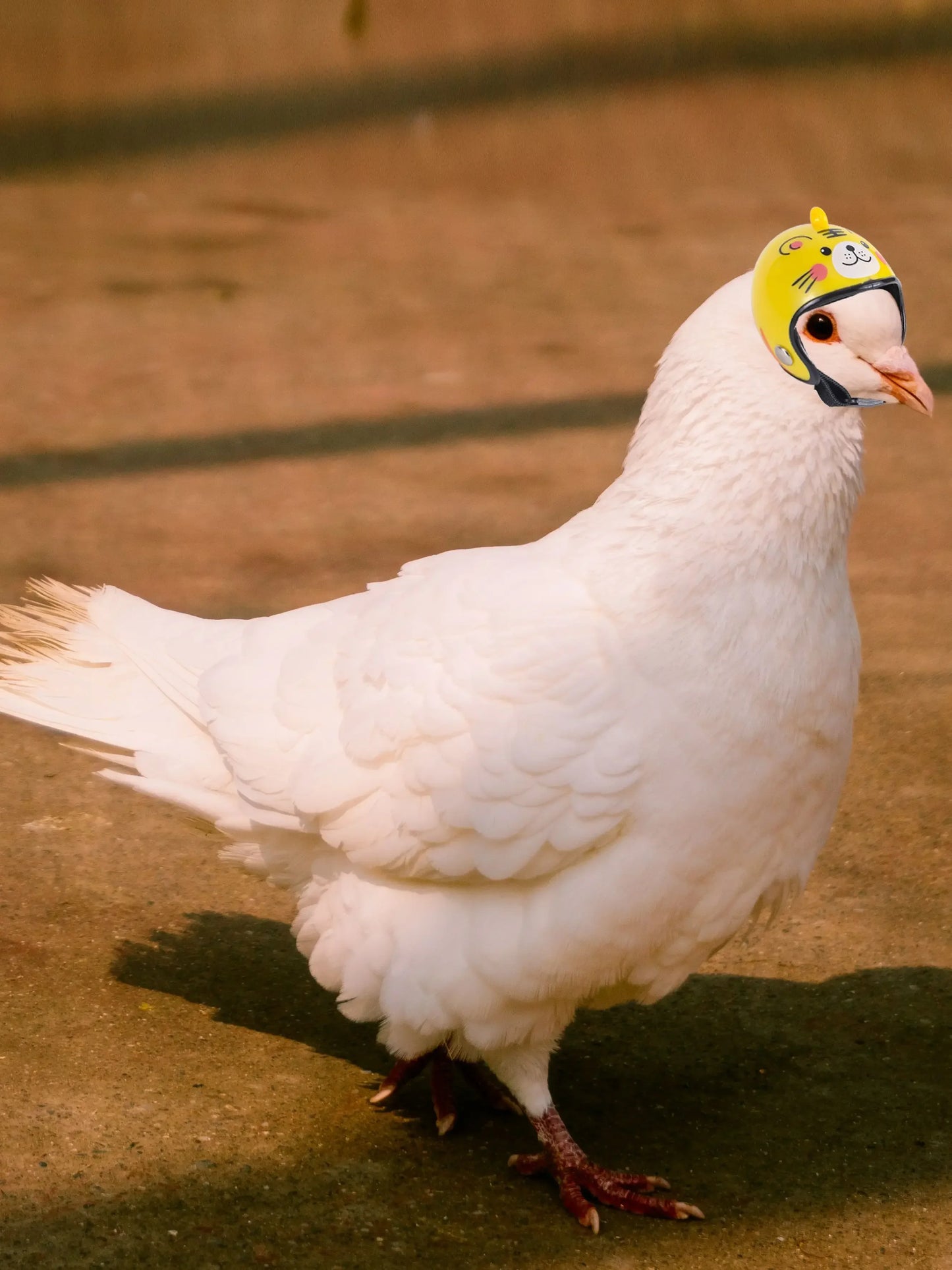 Miniature Protective Helmet for Pet Birds – Fits Parrots, Pigeons & Small Birds