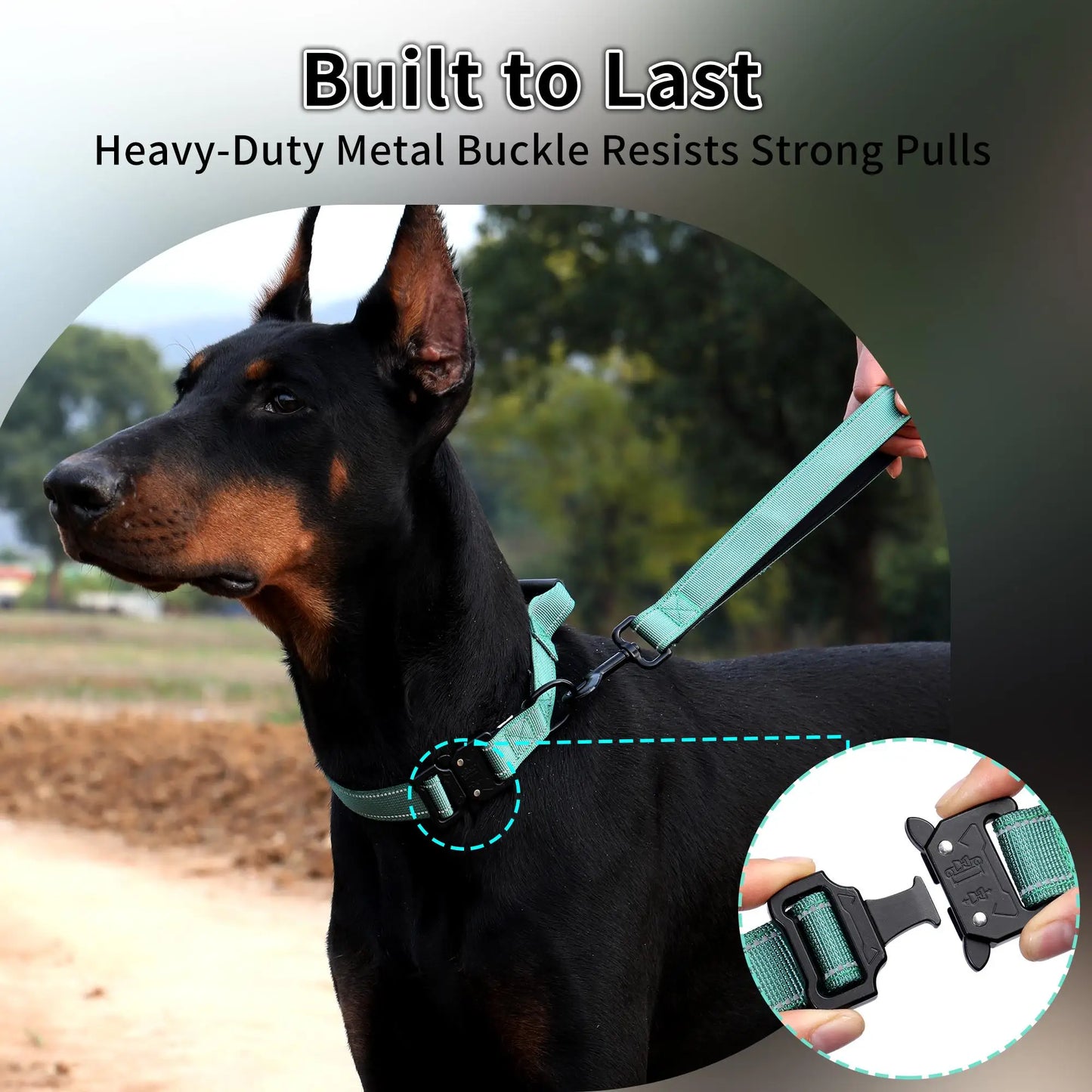Tactical Dog Collar with Leather-Wrapped Leash Handle