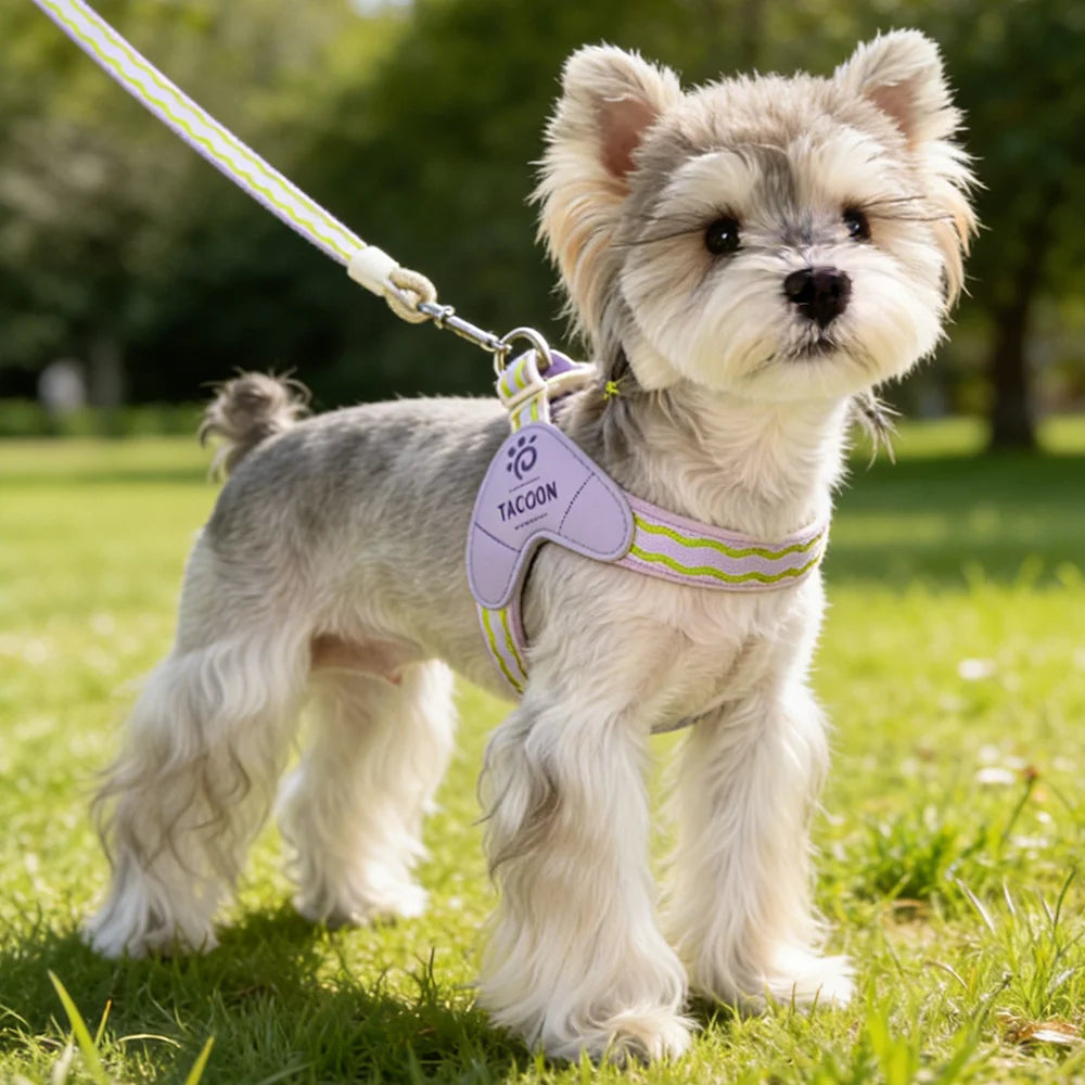 Dopamine Saddle Dog Harness with Leash Set for Small Dogs Comfortable Mesh Breathable Pet Harness for Schnauzer Shiba Inu Puppy