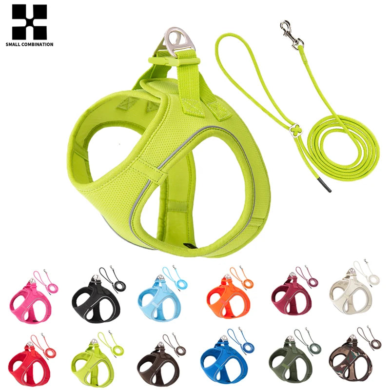 Reflective Dog & Cat Harness with Leash Set