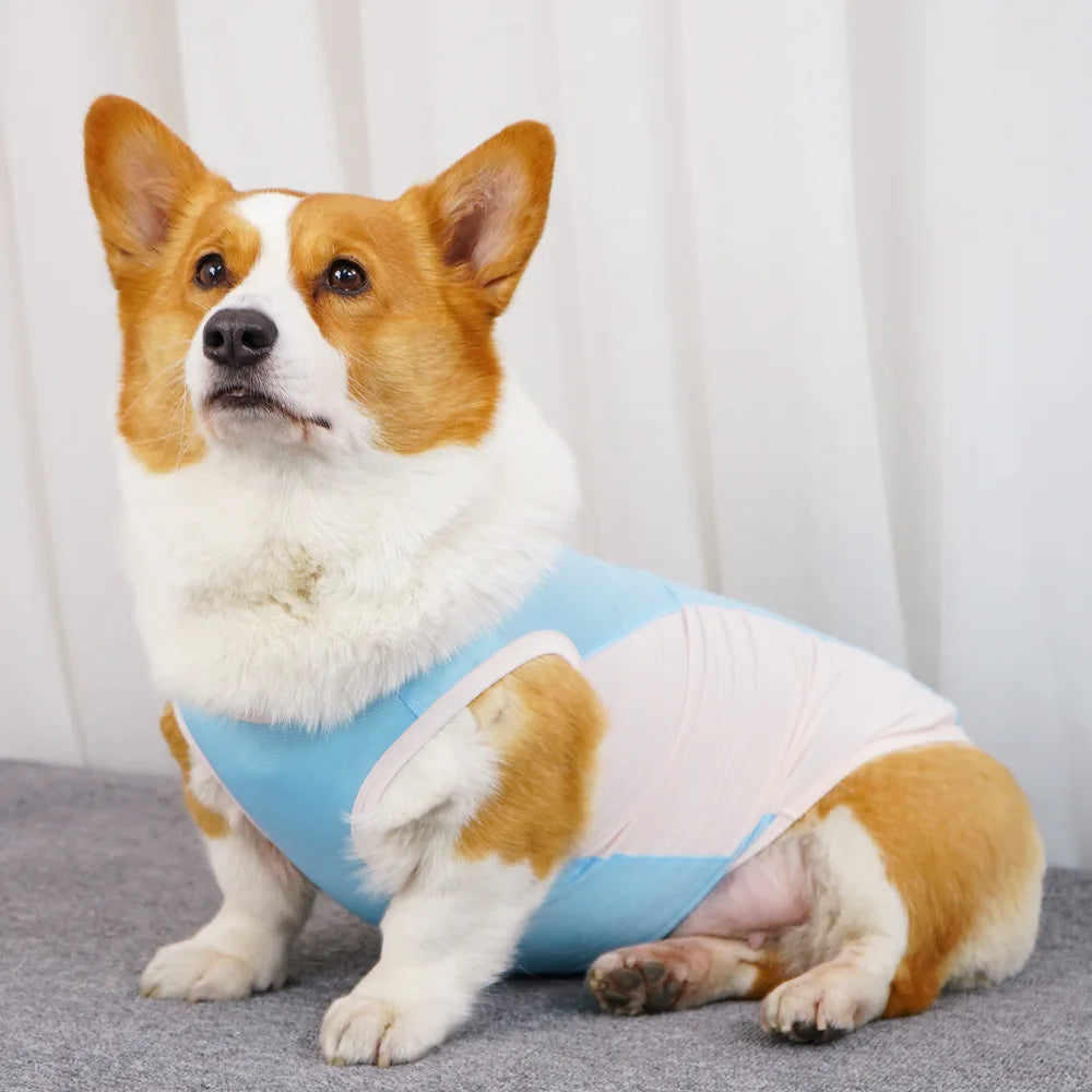 Ice Silk Cooling Vest with Sun Protection for Dogs & Cats