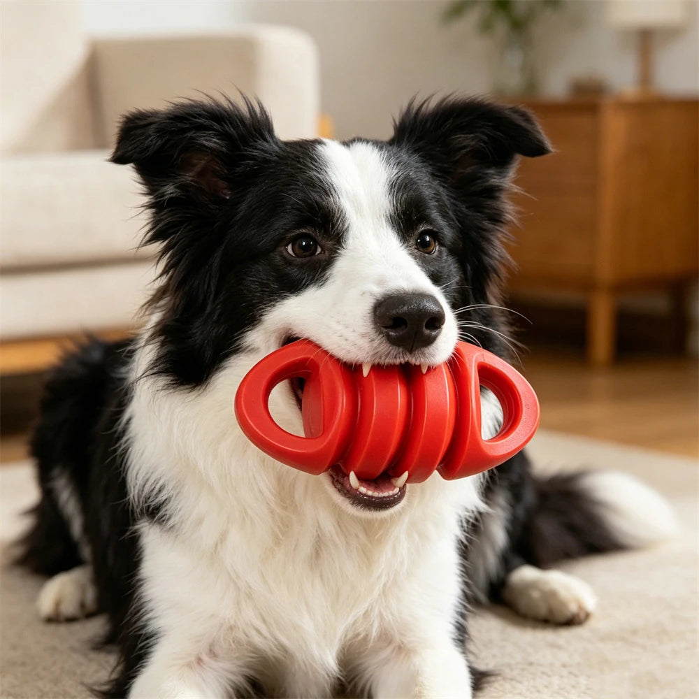 Indestructible TPR Dog Chew Toy for Aggressive Chewers