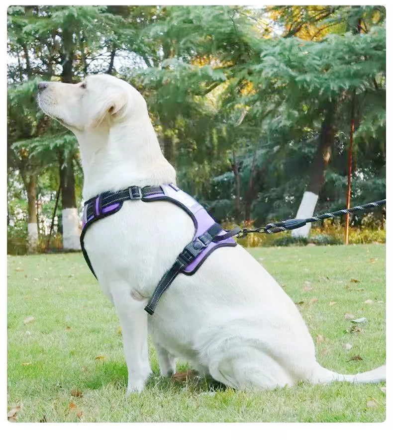 Reflective No-Pull Dog Vest Harness with Name Card