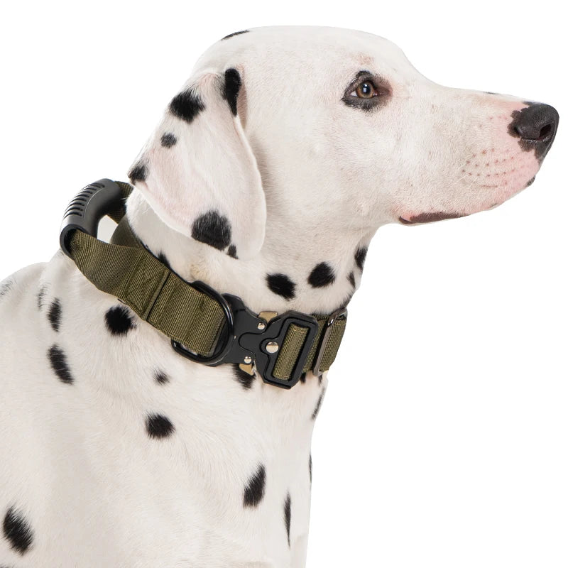 Heavy Duty Tactical Dog Collar with Handle — Metal Buckle Training Collar for Medium & Large Dogs