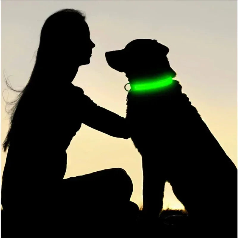 Collier lumineux LED pour chien - Réglable, clignotant, rechargeable - Collier lumineux pour la sécurité nocturne - Harnais lumineux anti-perte pour chien