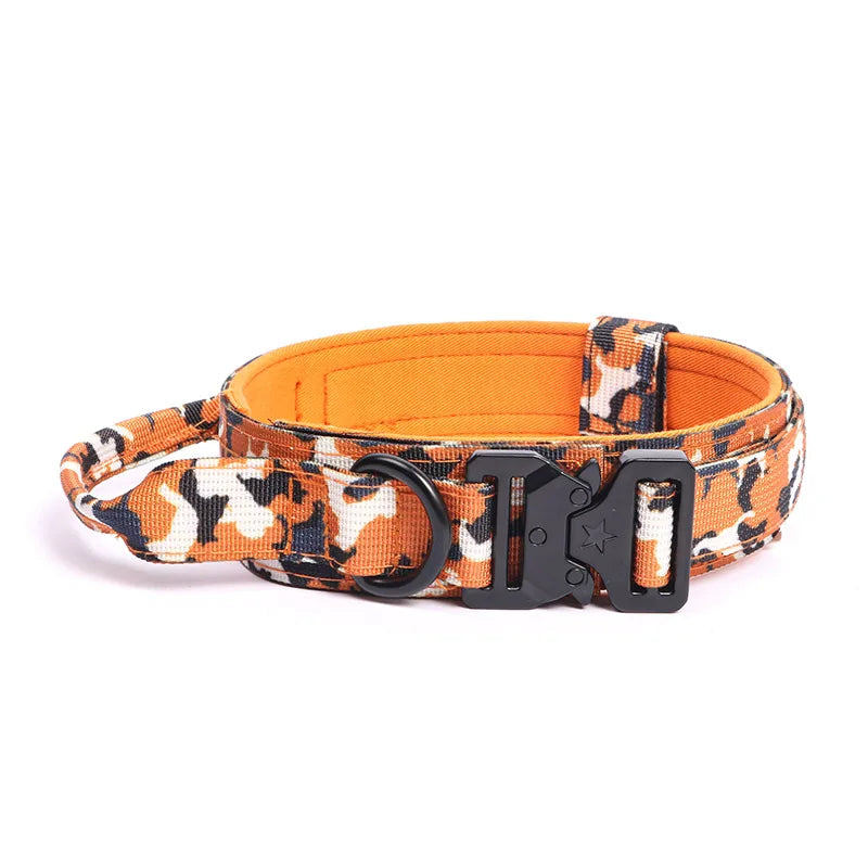 Durable Nylon Dog Collar & Leash Set for Large Dogs
