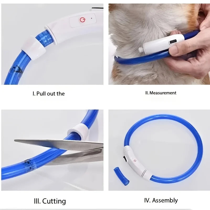 Collier lumineux LED pour chien - Collier de sécurité rechargeable par USB pour une visibilité nocturne