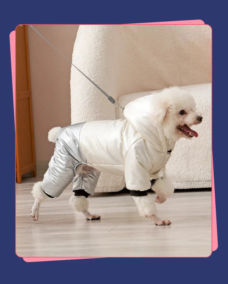 Waterproof Winter Down Hoodie Jacket for Small Dogs