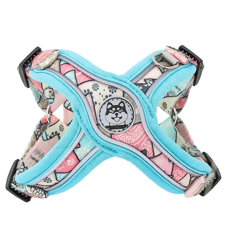 Adjustable Dog Harness & Leash Set