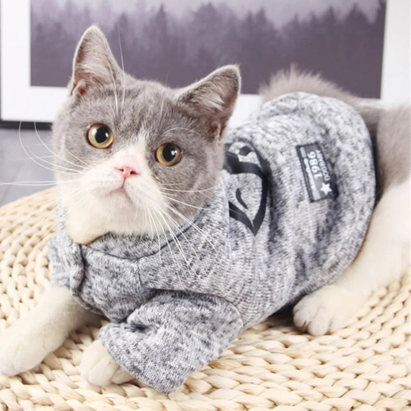 Fish Bone Print Pet Jumper