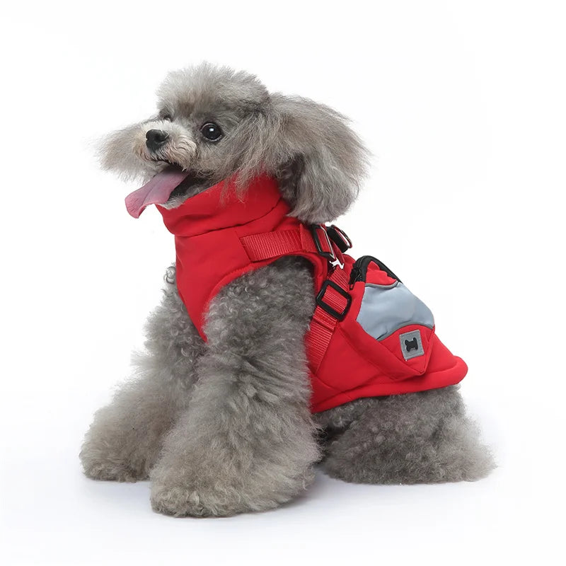 2-in-1 Dog Jacket & Harness with Pocket
