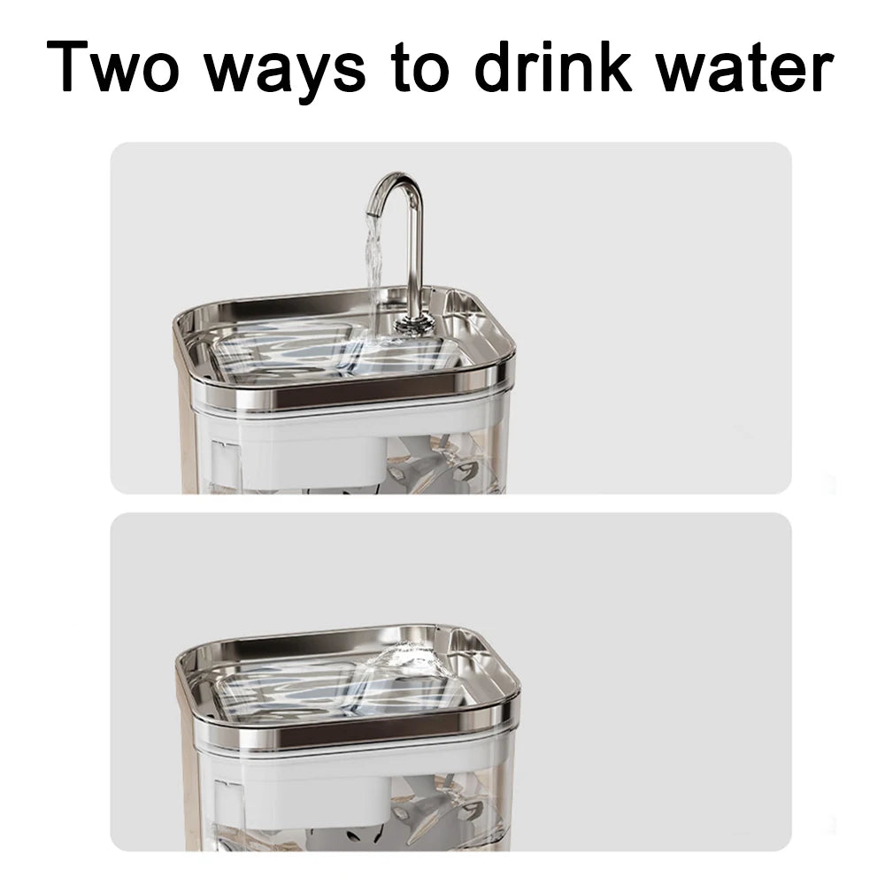 Pet Water Fountain with Stainless Steel & Clear Reservoir