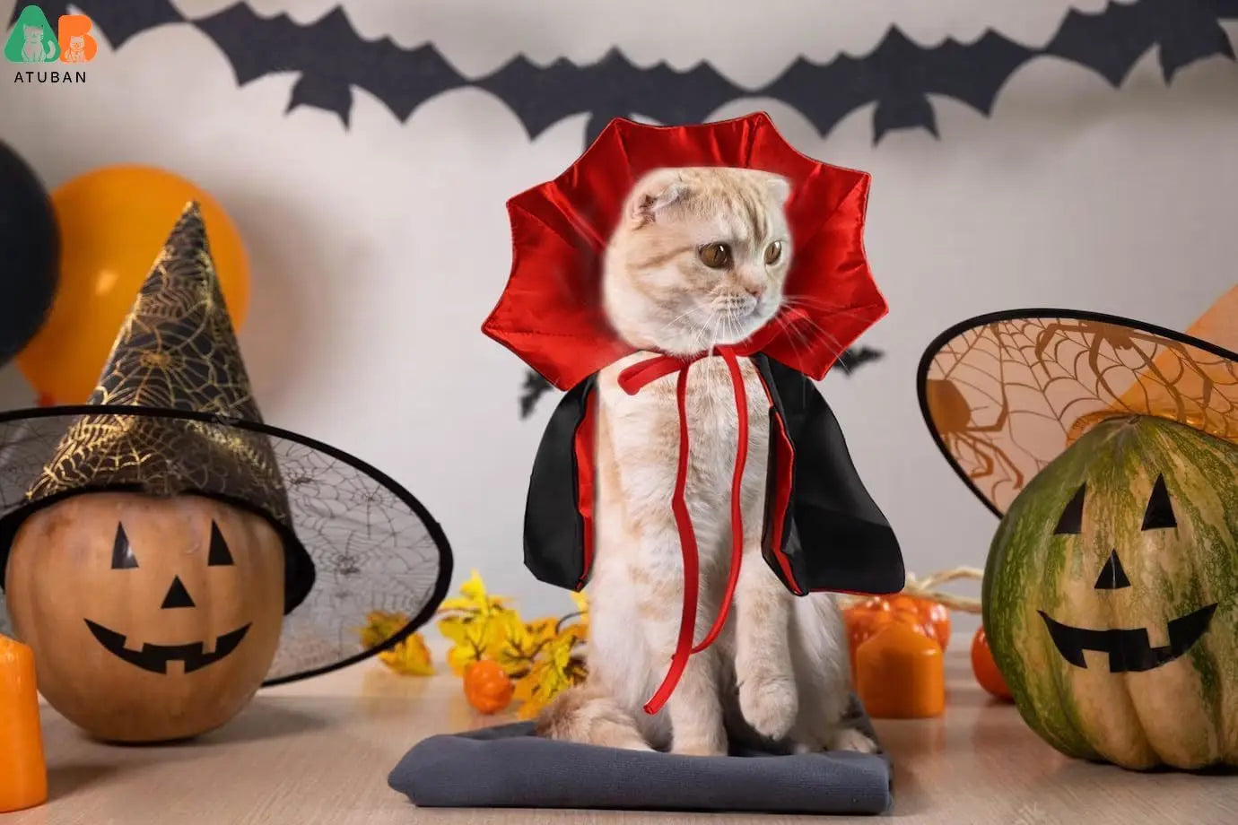 Cape de vampire pour chat – Costume d'Halloween réglable pour animaux de compagnie