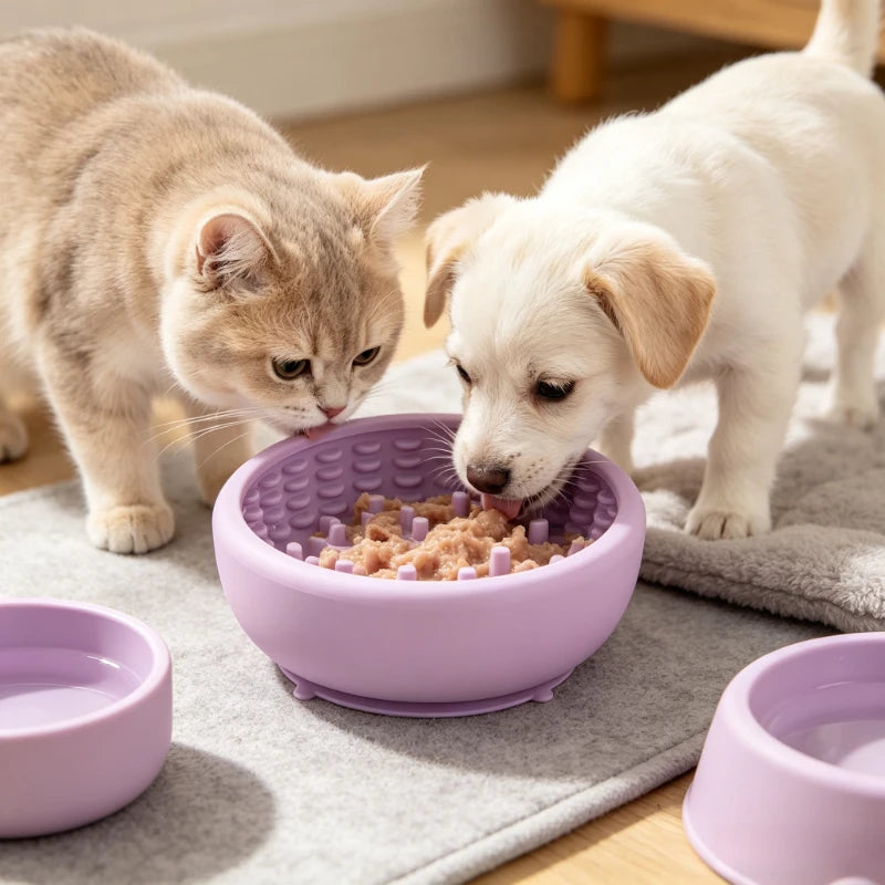 Suction-Cup Slow Feeder Dish for Dogs & Cats