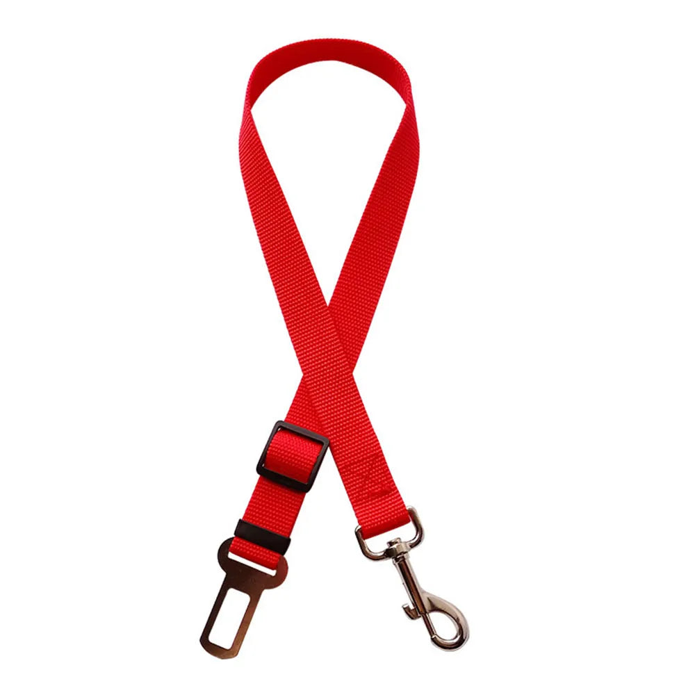 Ceinture de sécurité rétractable pour chien avec bande réfléchissante