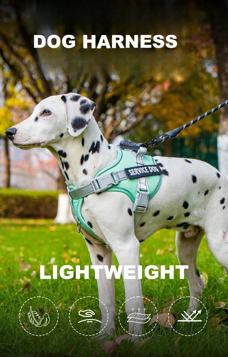 No Pull Dog Harness with Front Clip and Handle